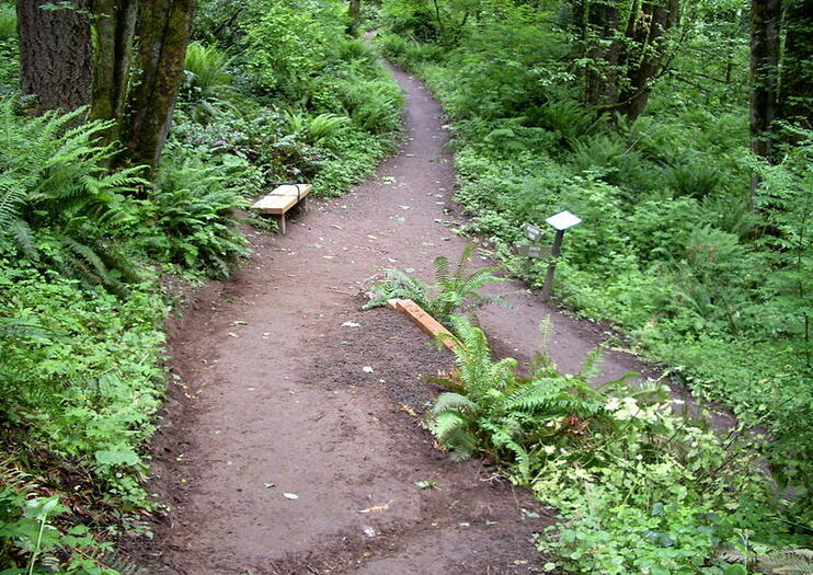 Forest Park